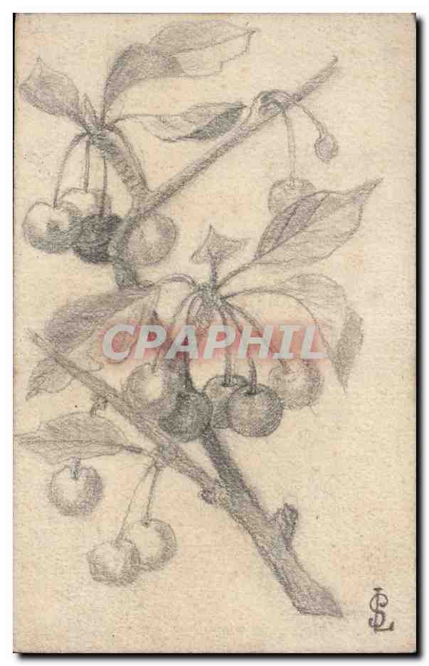 Fleurs - Plantes - Cherries - Cherry - Cerise - CPA
