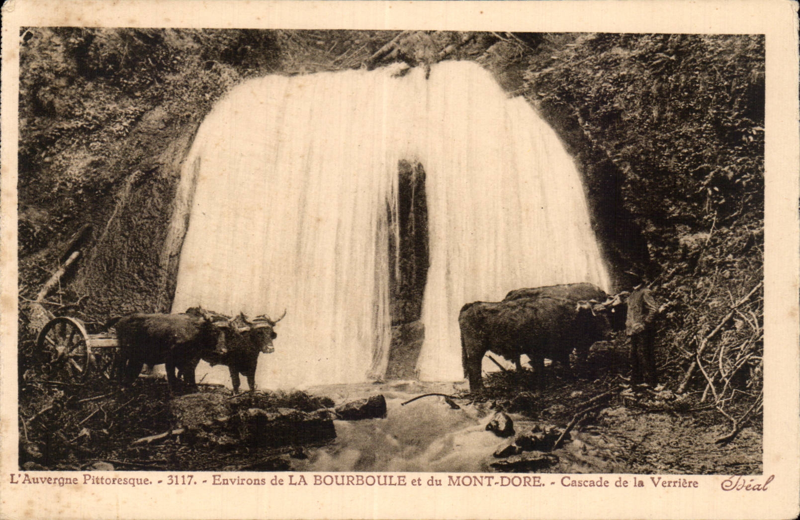 Le Mont Dore - La Bourboule - Cascade de la Verriere - Vache - Cow - CPA 