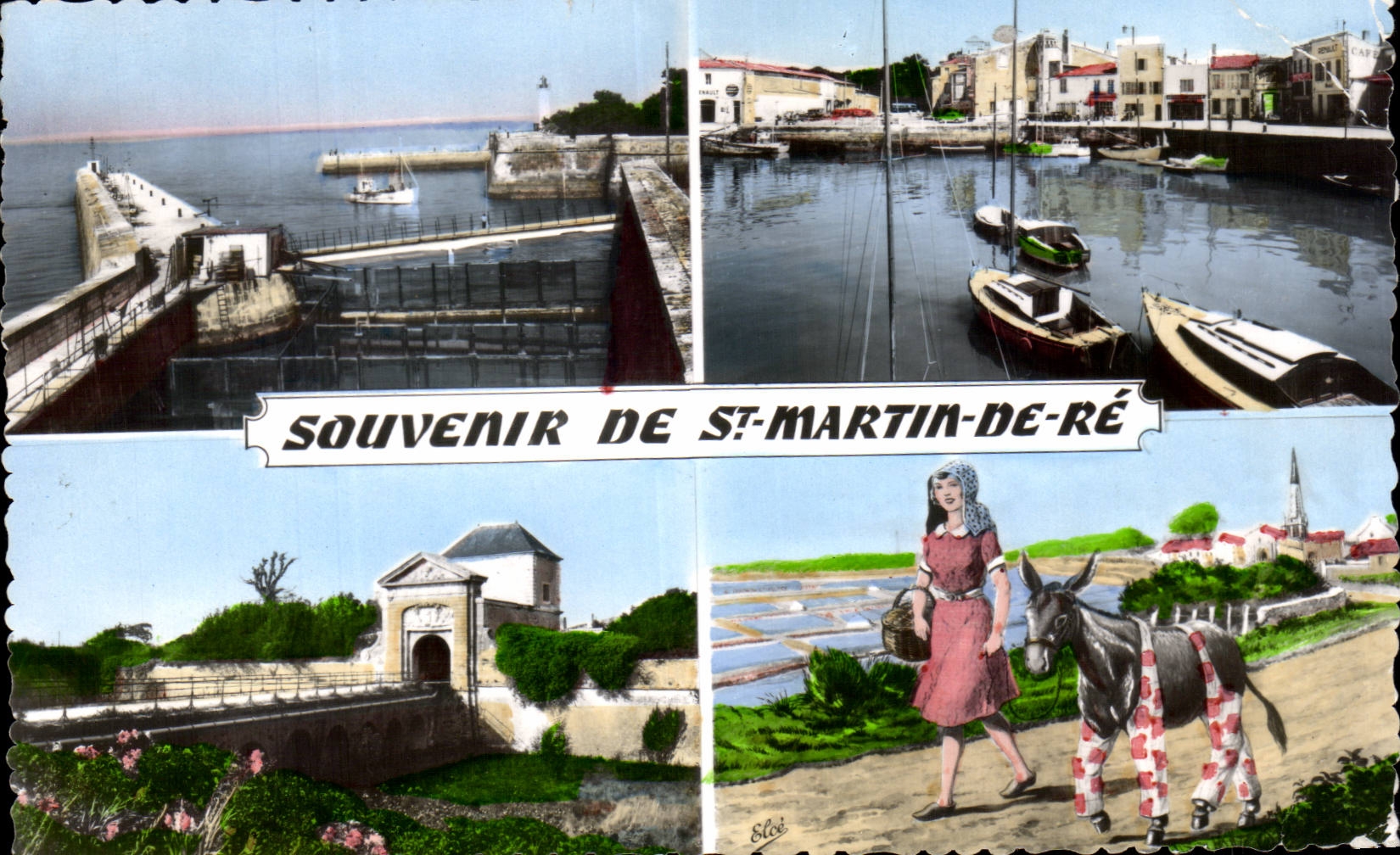 Saint Martin de Re - Souvenir Ane Donkey - CPA 