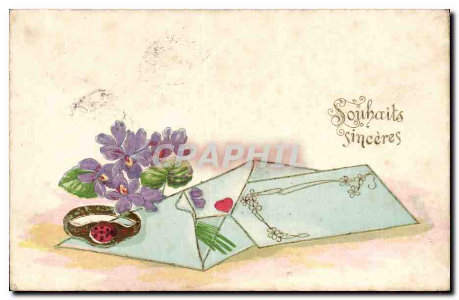 CPA Fantaisie Fleurs Souhaits sinceres