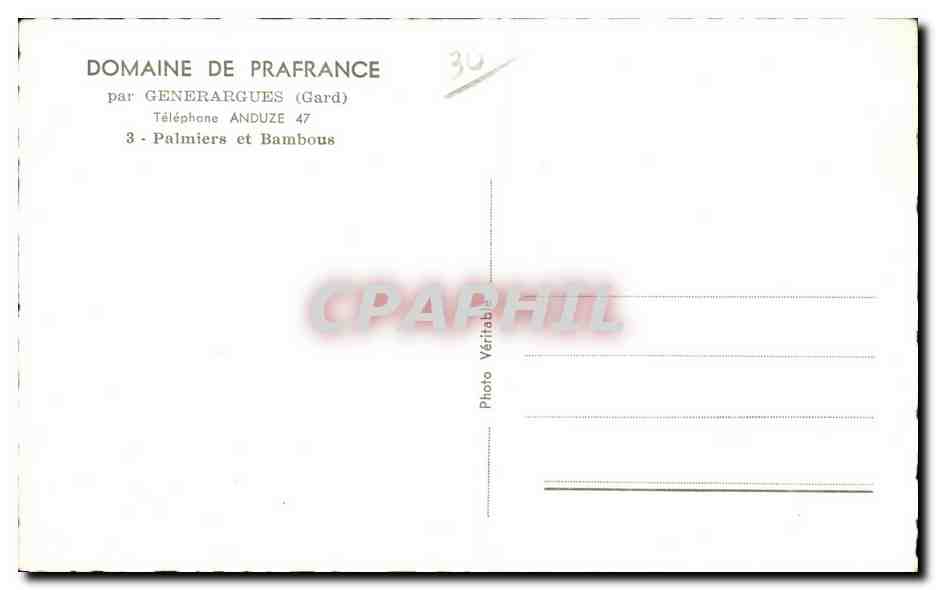 CPSM Domaine de Prafrance par Generargues Palmiers et bambous bmaboo — Rückseite