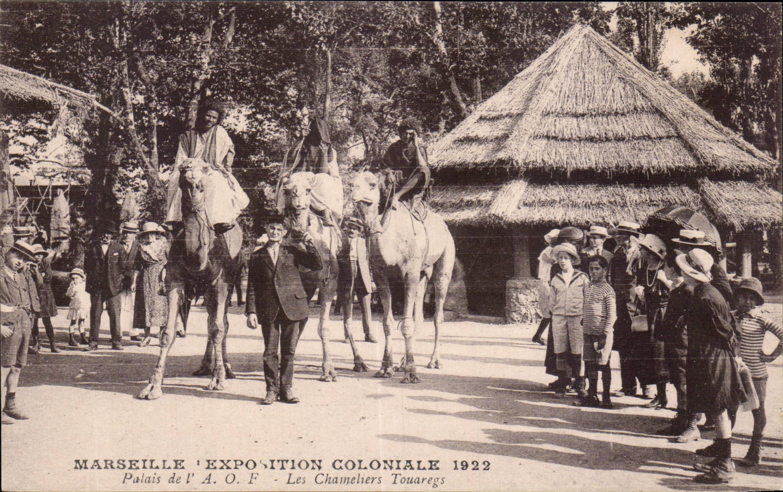 Marseille - Exposition Coloniale 1922 - Palais de l'A.O.F. - Les Chameliers Touaregs