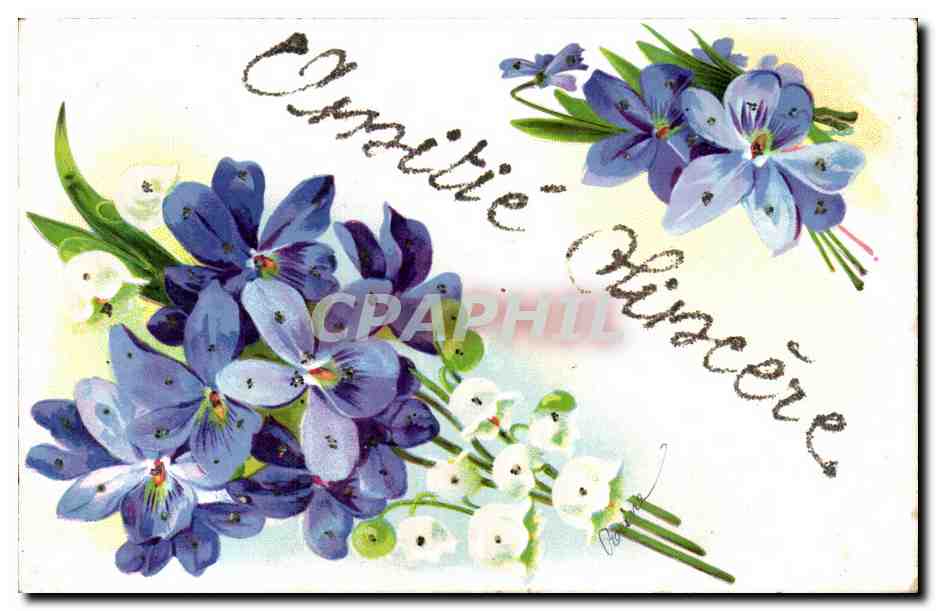 Fleurs violette - violet - Amitie Sincere - CPA 