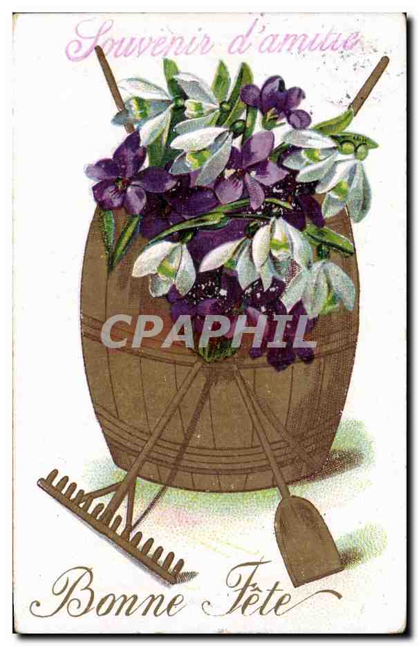 Fleurs Violette - Violet - Souvenir d Amitie - CPA 