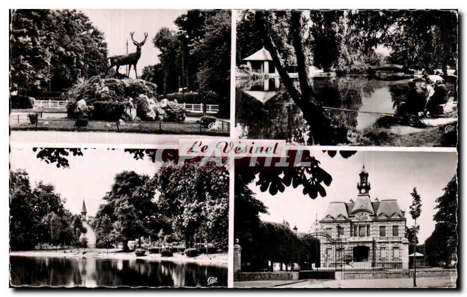 CPSM Le Vesinet Le rond point Royale Les Ibis Lac de Croissy La mairie