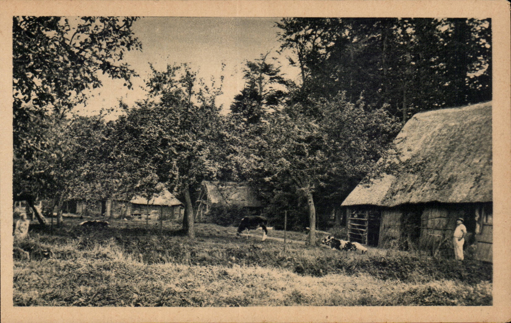 CPA Normandie Vieille ferme pittoresque 