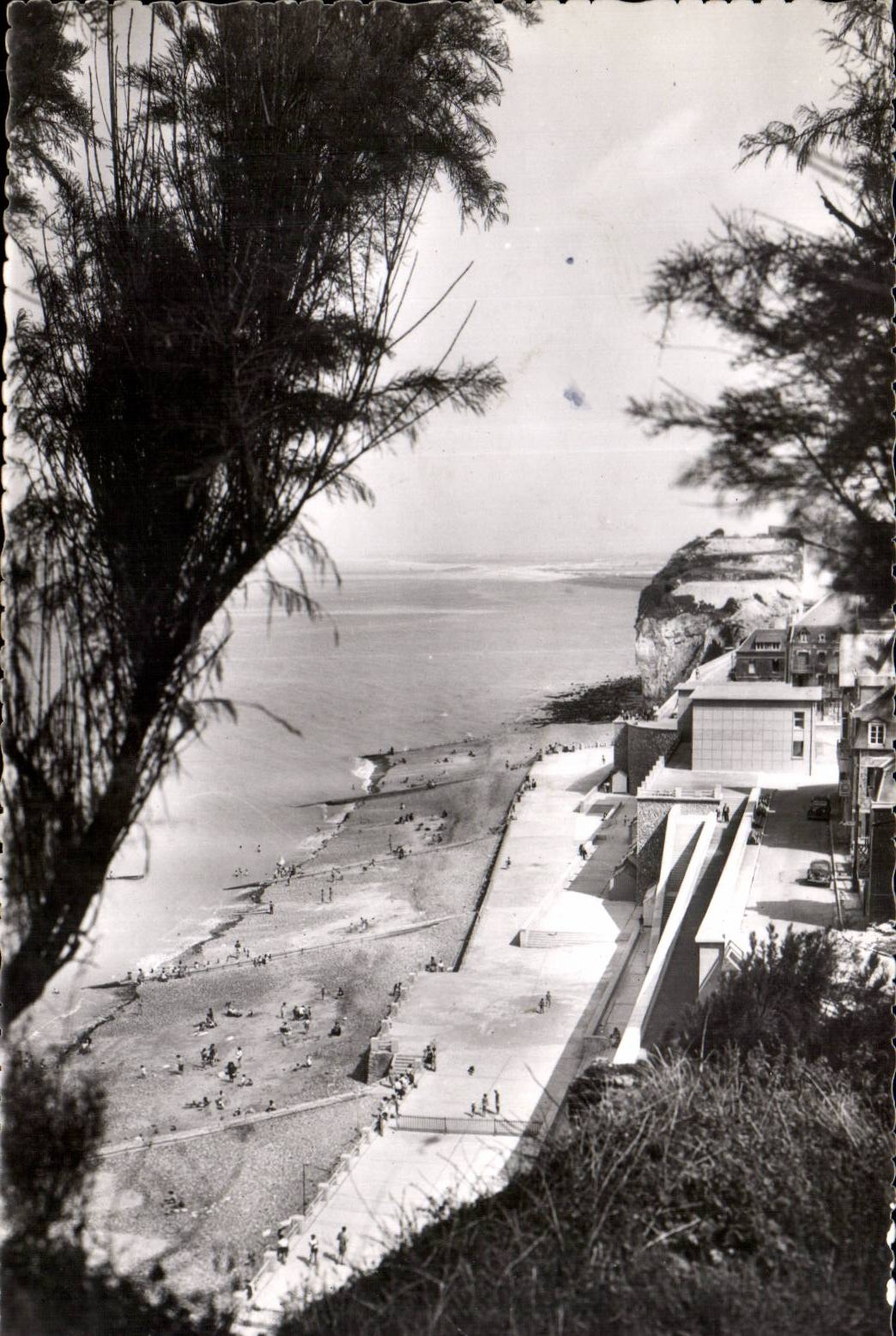 CPSM Ault onival La plage a travers les tamaris