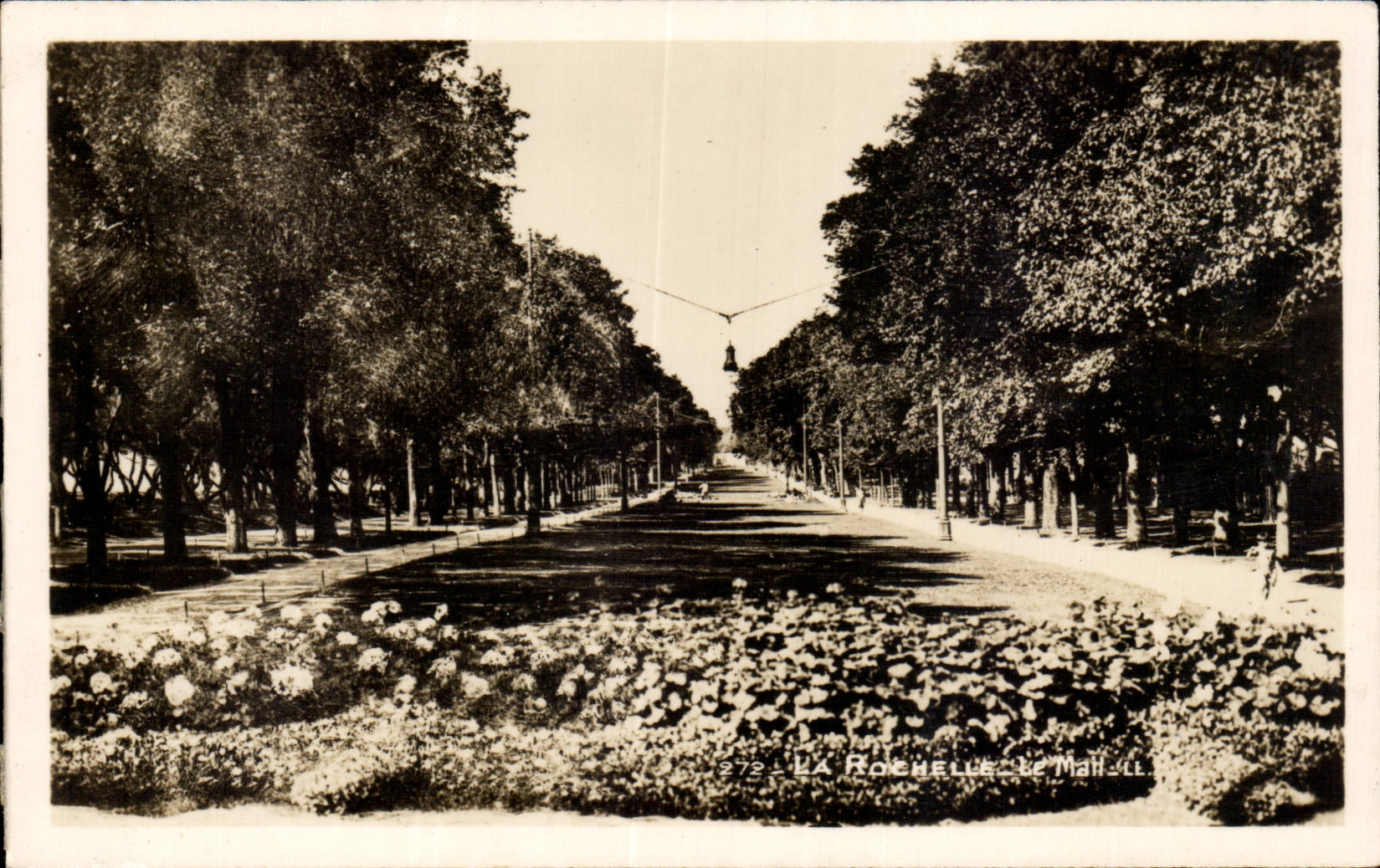 LA ROCHELLE - Le Mail — vue de la promenade arborée avec fleurs en bordure — éditeur REALPHOTO, n° 272