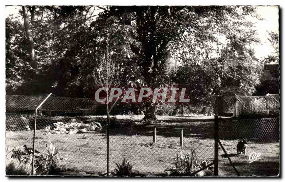 CPSM Luc sur Mer Le jardin public et le kangourou