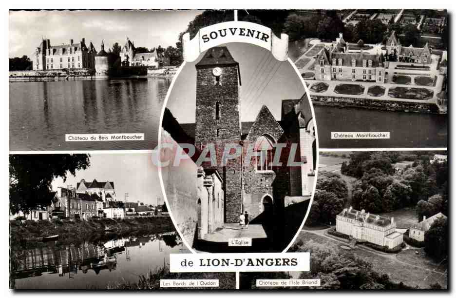 CPSM Souvenir du Lion d Angers