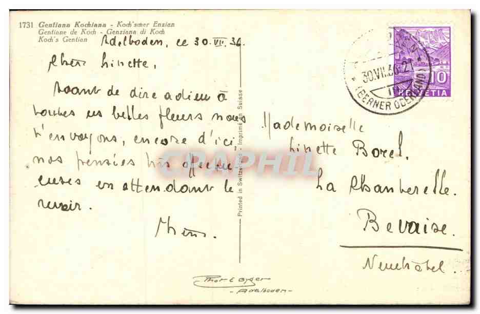 CPA Fantaisie Fleurs Gentiana Kochlana  — Verso