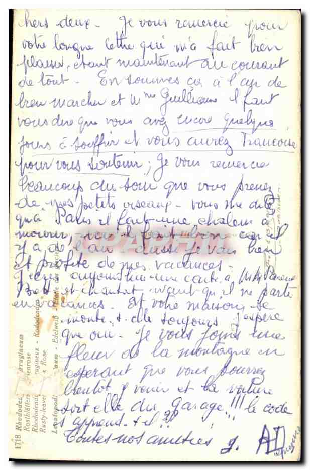 CPA Fantaisie Fleurs Rhododendron — Rückseite