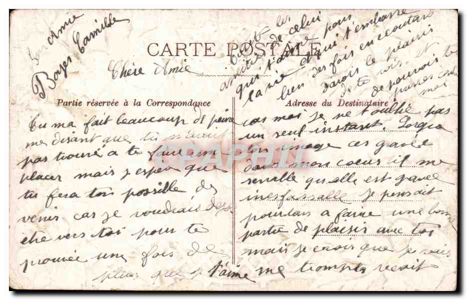 CPSM Fantaisie Fleurs Toutes mes pensees volent vers vous  — Back