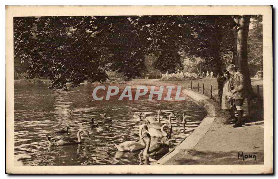 CPA Paris Au bois de Boulogne Cygnes sur le lac inferieur 