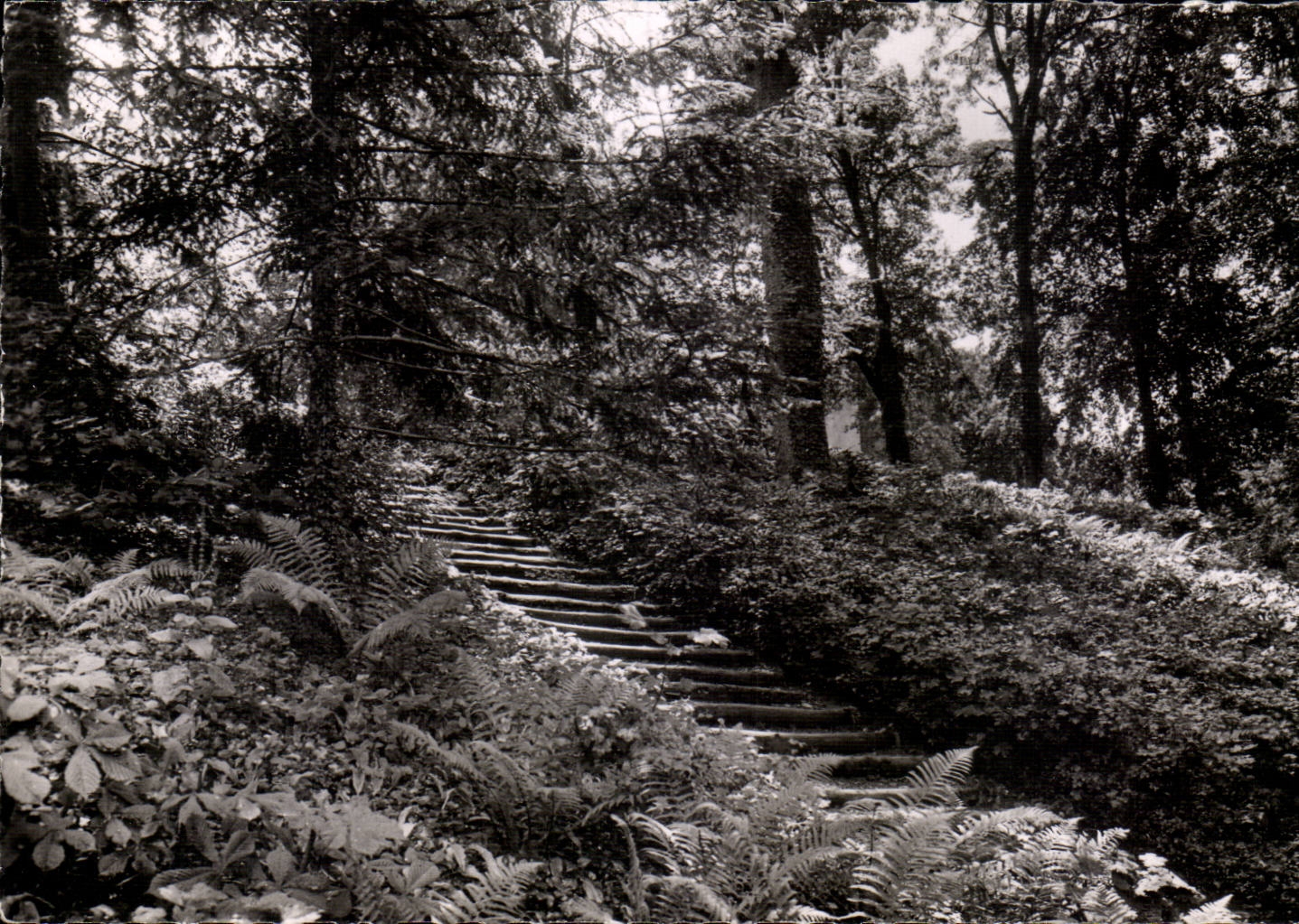 Treppen in den Wald — BOURBONNE-LES-BAINS — Park des Casinos — Verlag: (51) Réal-Photo, Cie Arts Photo