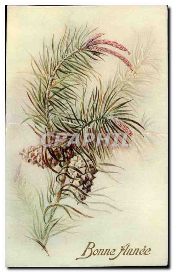 - Fleurs - Bonne Annee - Happy New Year - CPA 