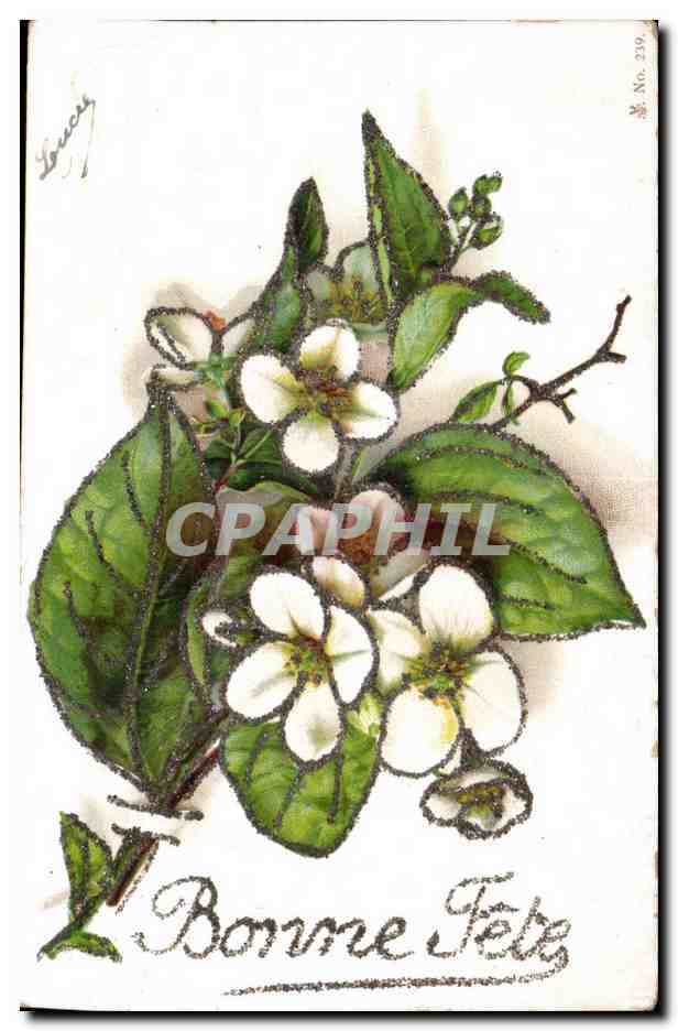 - Fleurs - Bonne Fete - Happy Birthday - CPA 