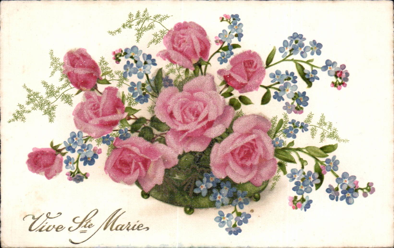 Fleurs Vive Stae Marie - CPA 