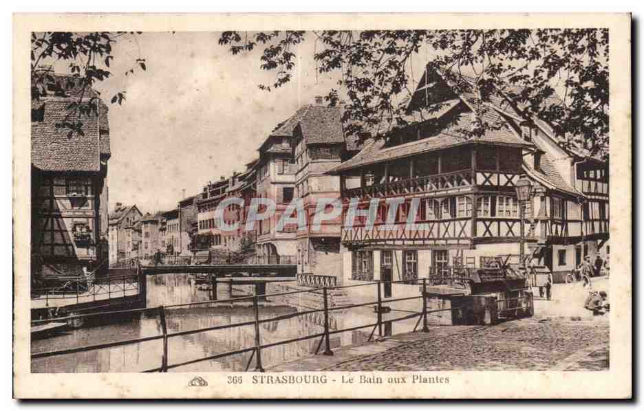 Strasbourg - Bain aux Plantes - Illustration - CPA 