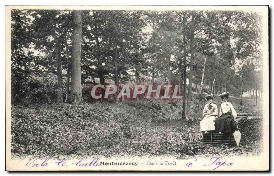 Montmorency - Dans la Foret - CPA 