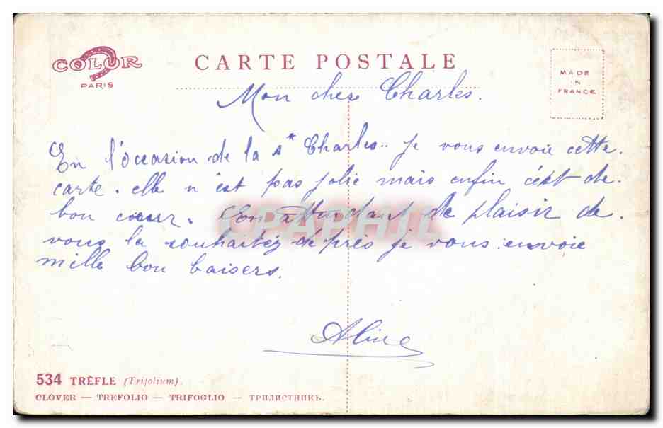 Fleurs trefle - clover - CPA  — Verso