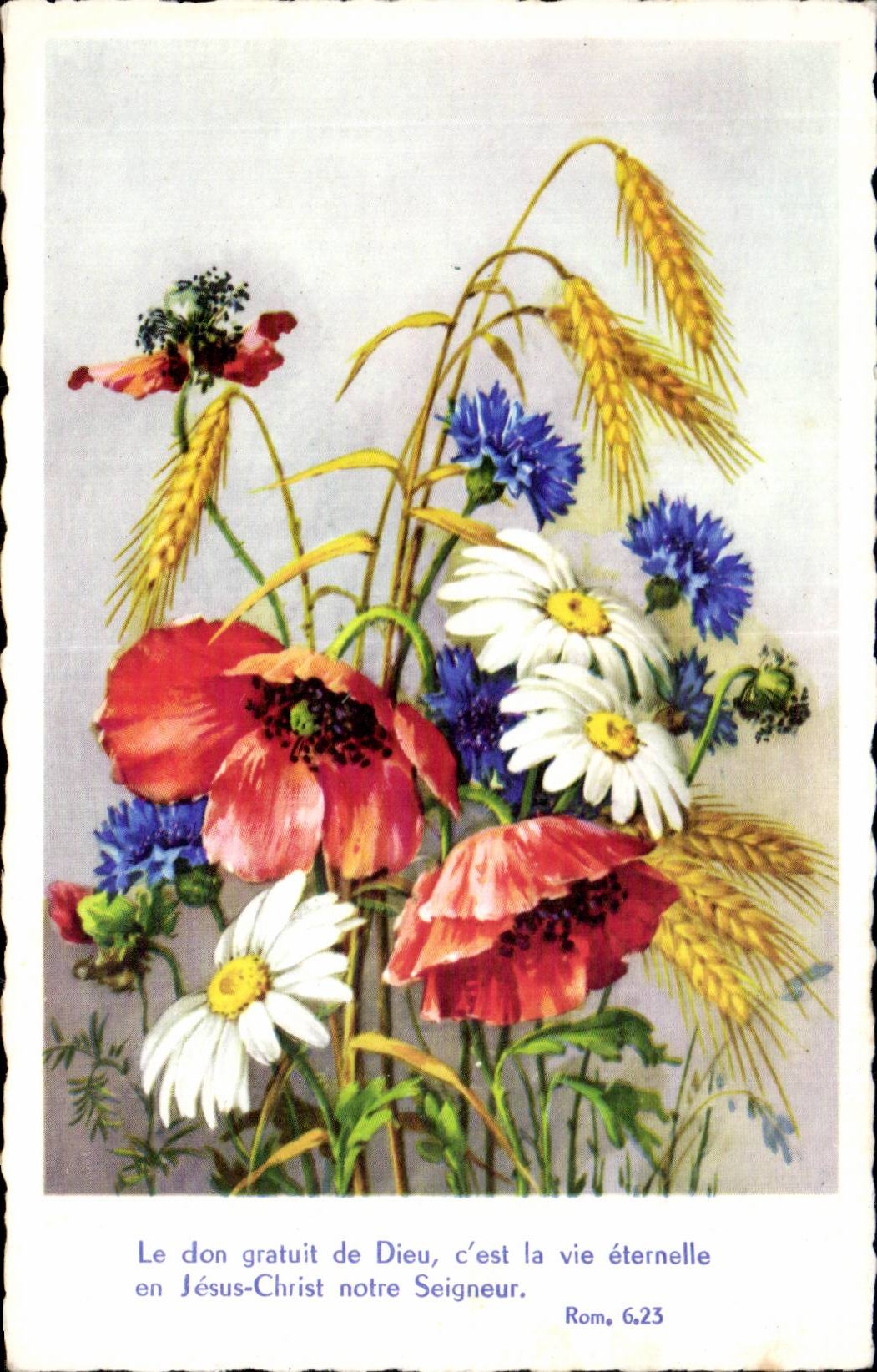 Fleurs Autumn boquet - CPA 