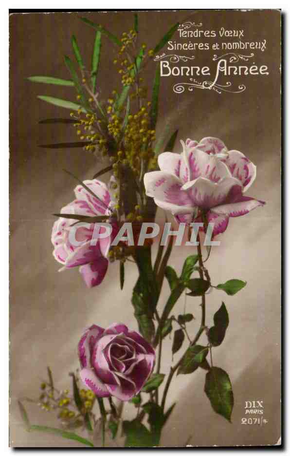 Fleurs Rose - Bonne Annez - CPA 