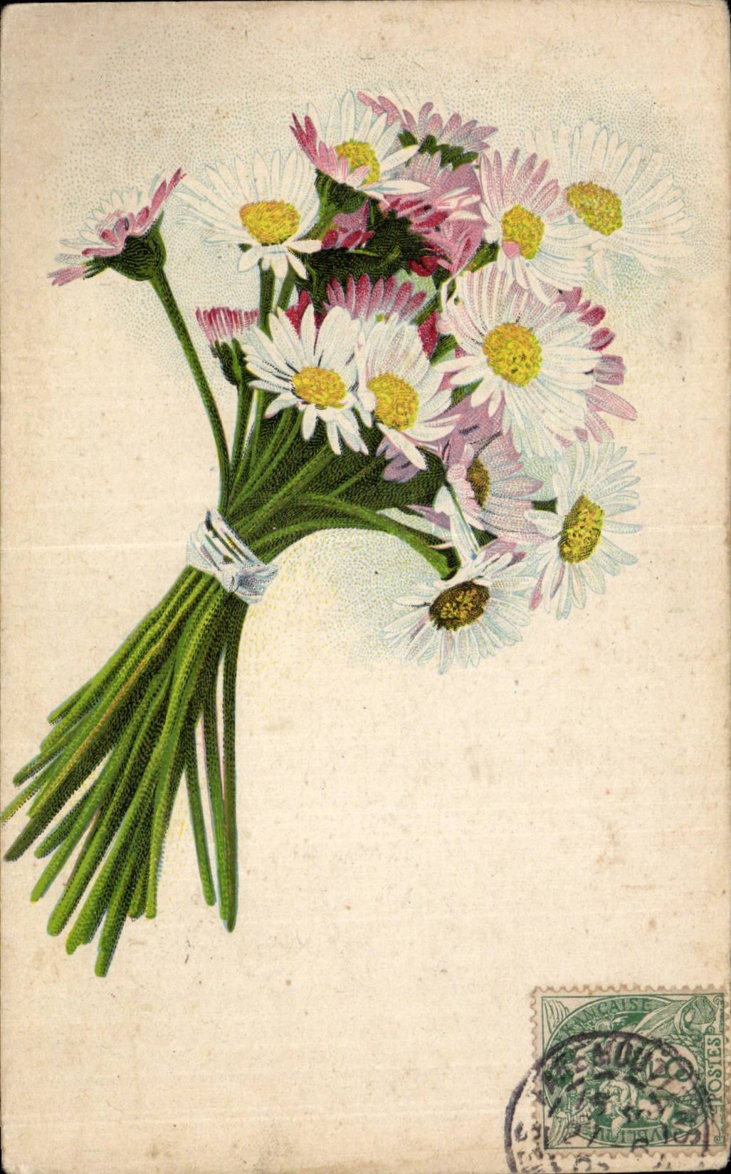Fleurs Daisy - CPA 
