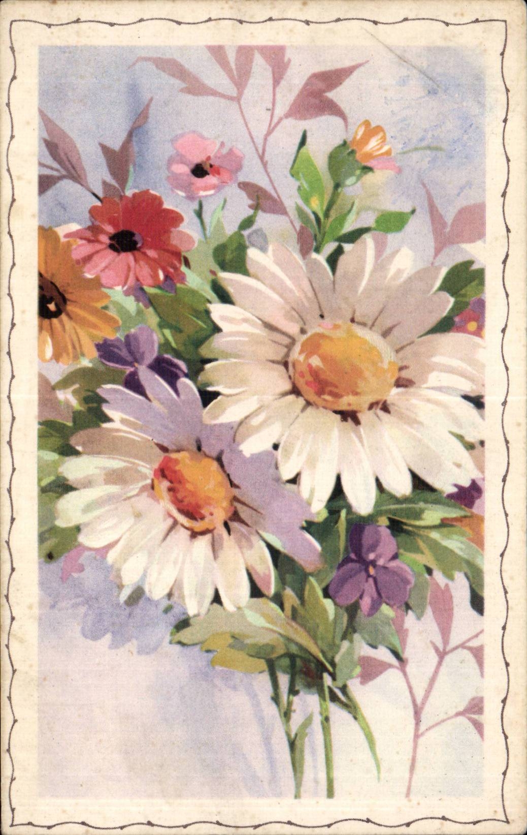 Fleurs Daisy - CPA 