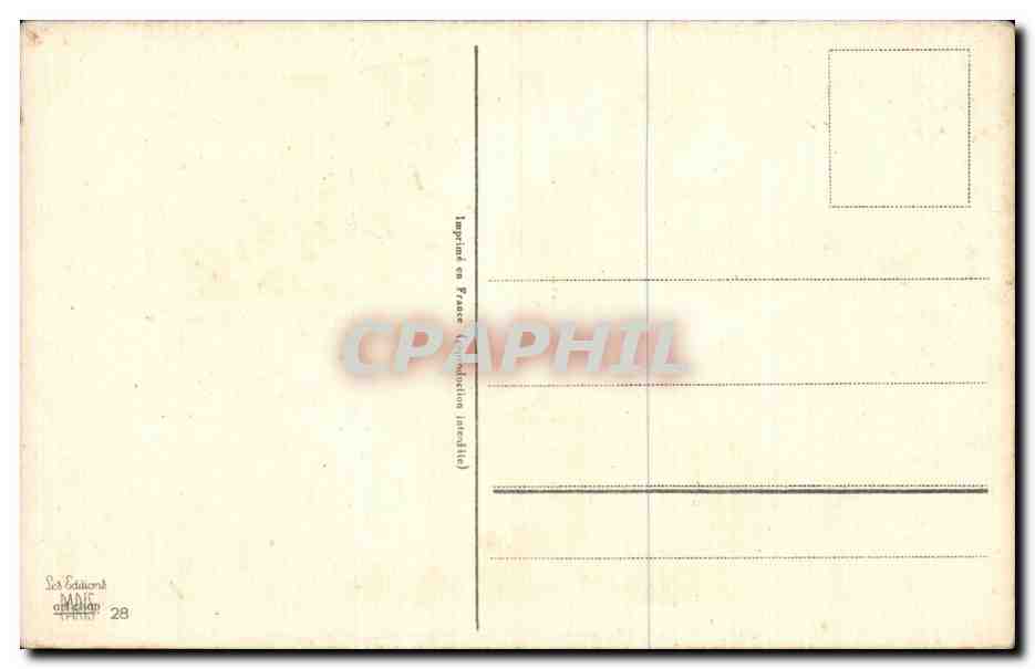 Fleurs Daisy - CPA  — Verso