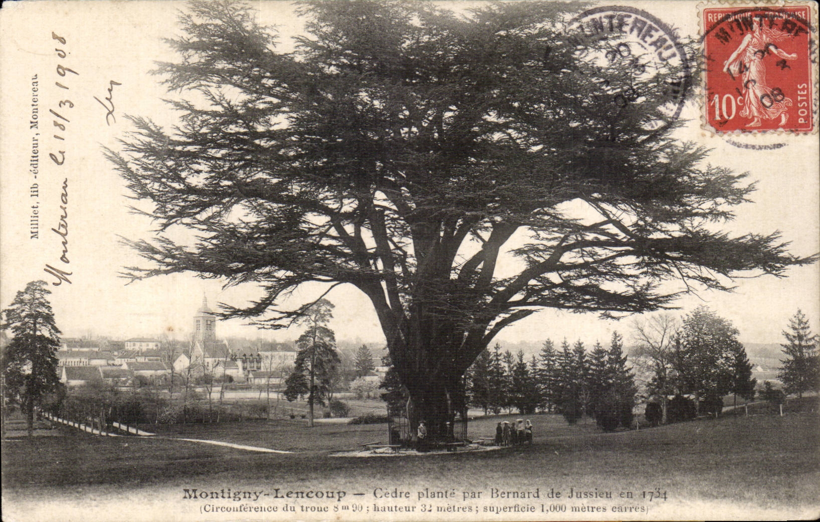 Montigny-Lencoup — Cèdre planté par Bernard de Jussieu en 1734 — Millet, lib.-éditeur, Montreveau