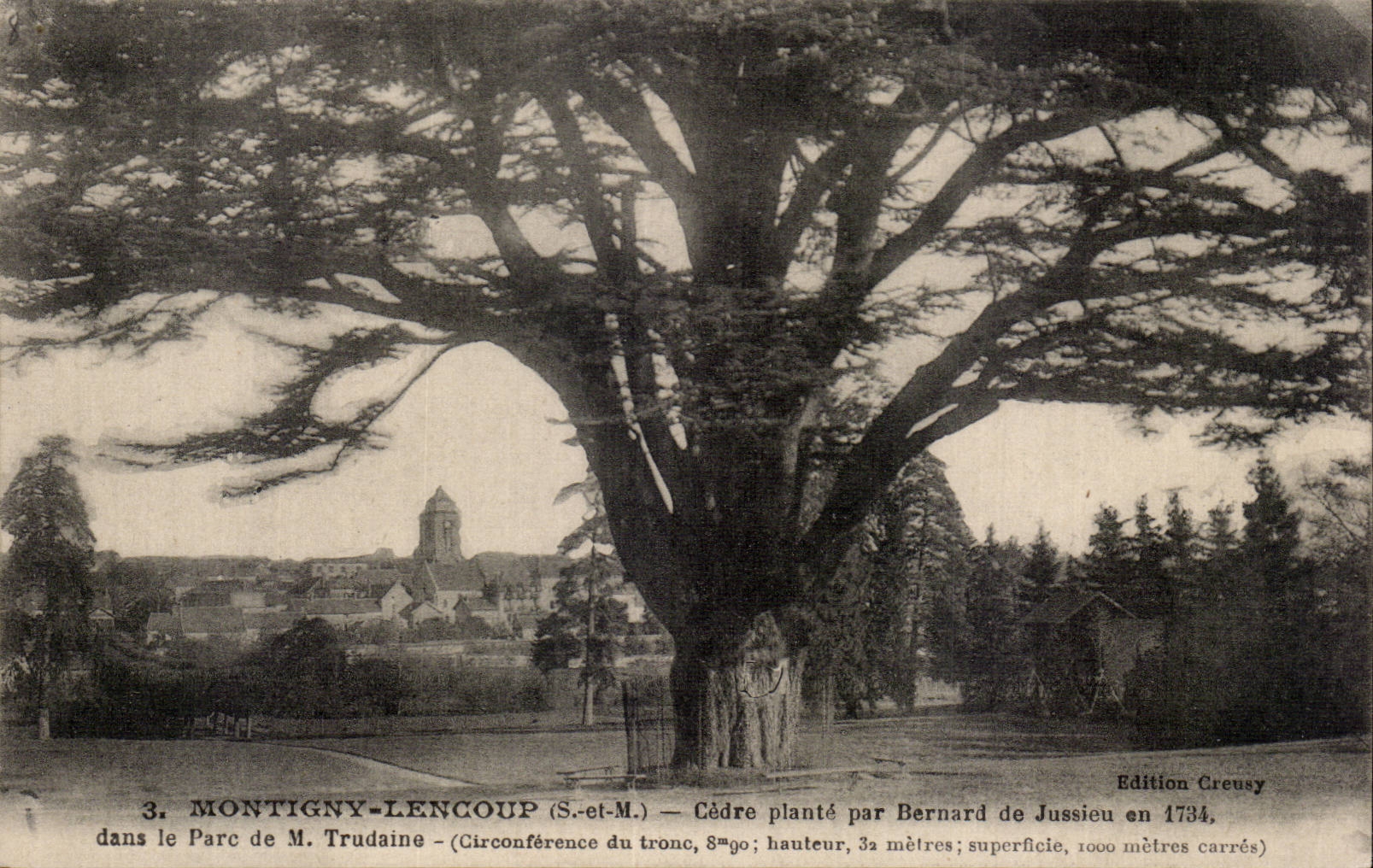 Montigny-Lencoup (S.-et-M.) — Cèdre planté par Bernard de Jussieu en 1734 — Edition Creusy