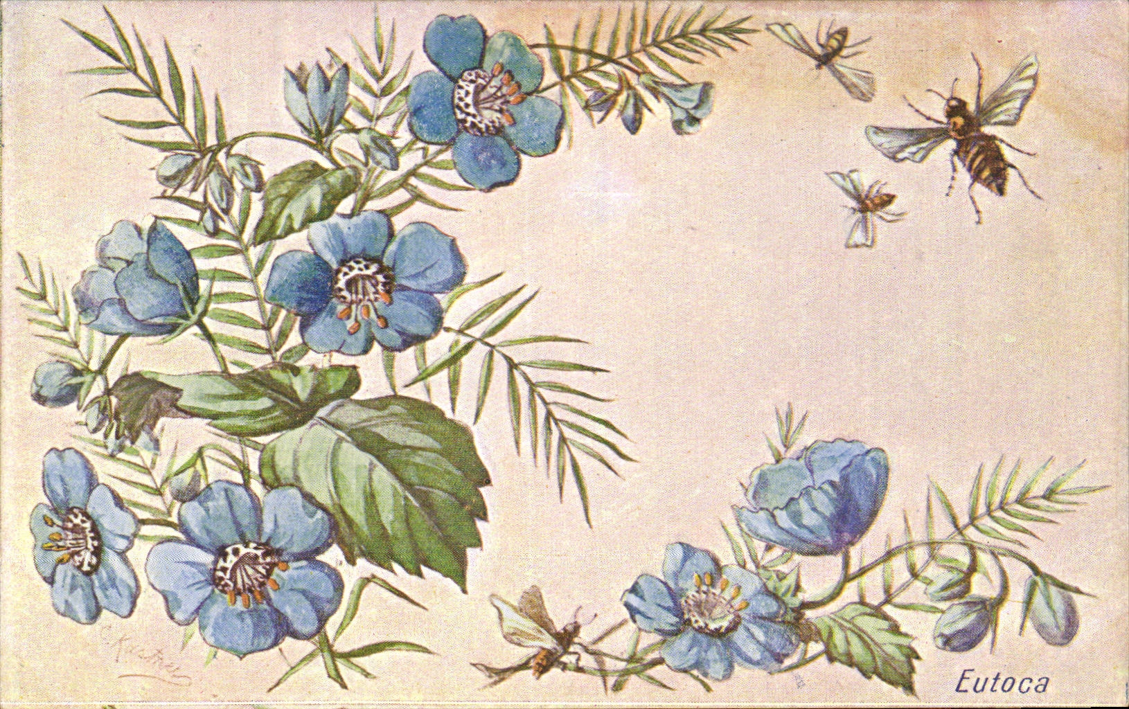 Fleurs abeille - bee - CPA 