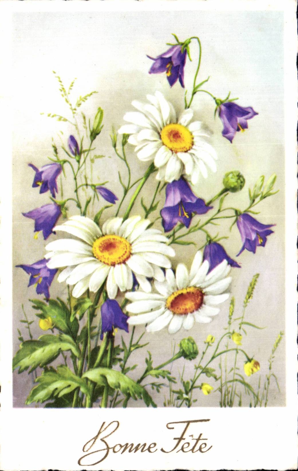 Fleurs Bonne Fete - Happy Birthday - Daisy - CPA 
