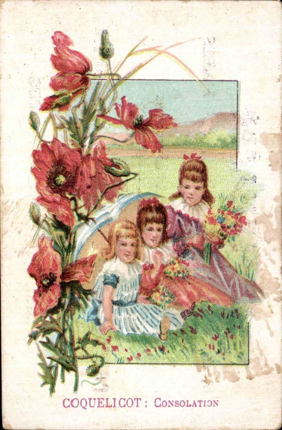 Fleurs Coquelicot - Consolation - CPA 