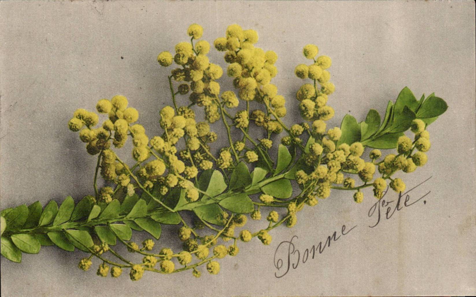 Fleurs Bonne Fete - Happy Birthday - CPA