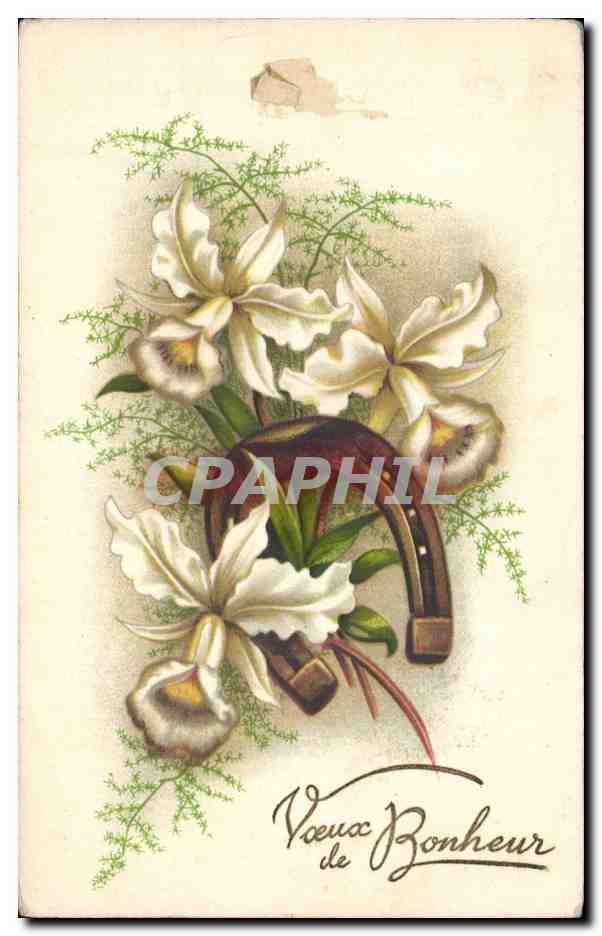 Fleurs Voeux de Bonheur Fer a cheval - CPA 