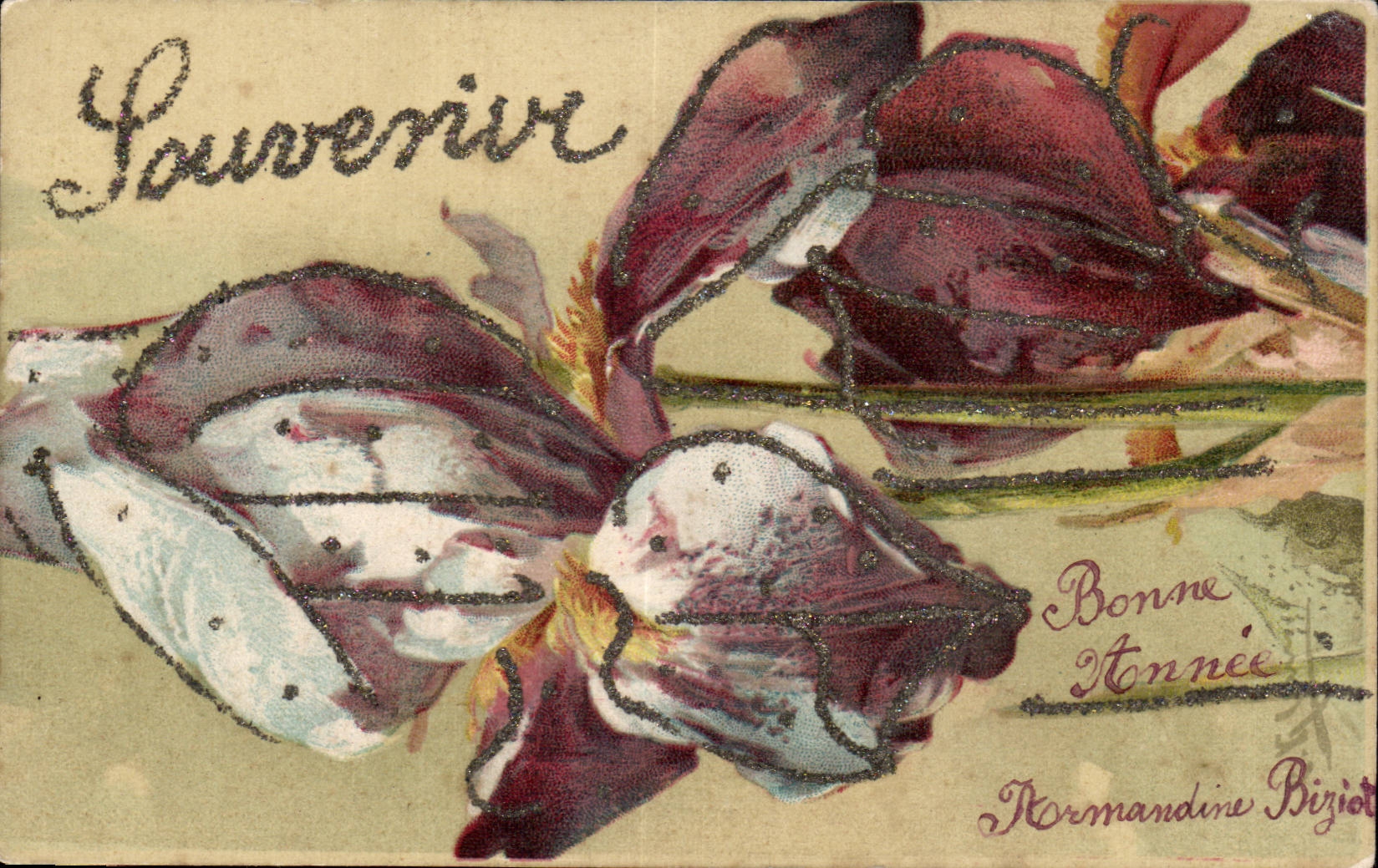 CPA Fantaisie Fleurs Souvenir Bonne annee