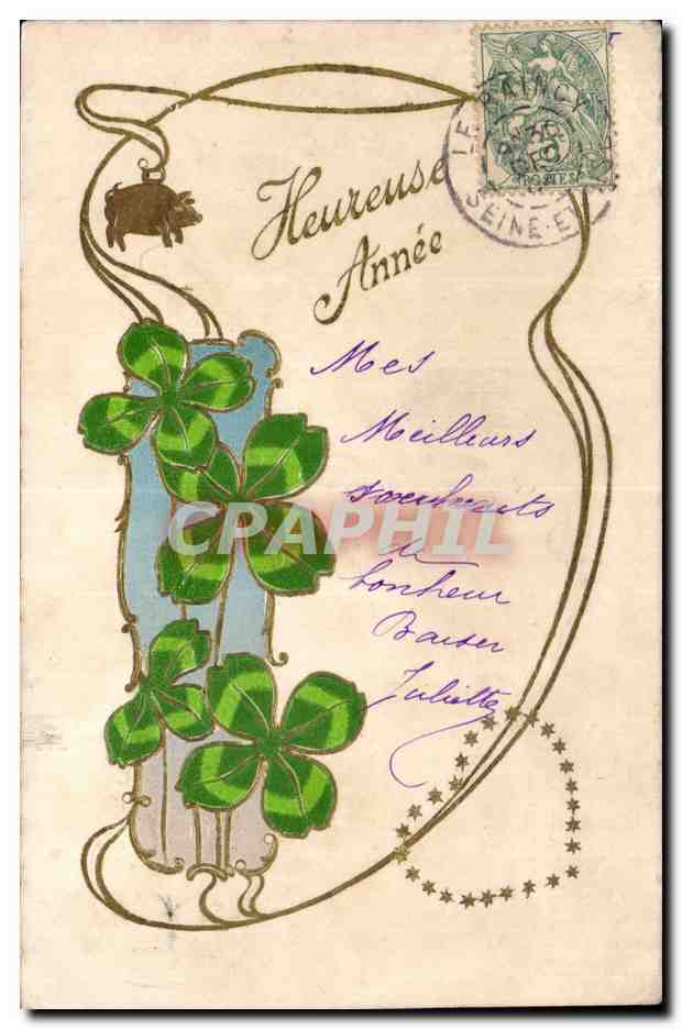 CPA Fantaisie Fleurs Heureuse annee Cochon pig