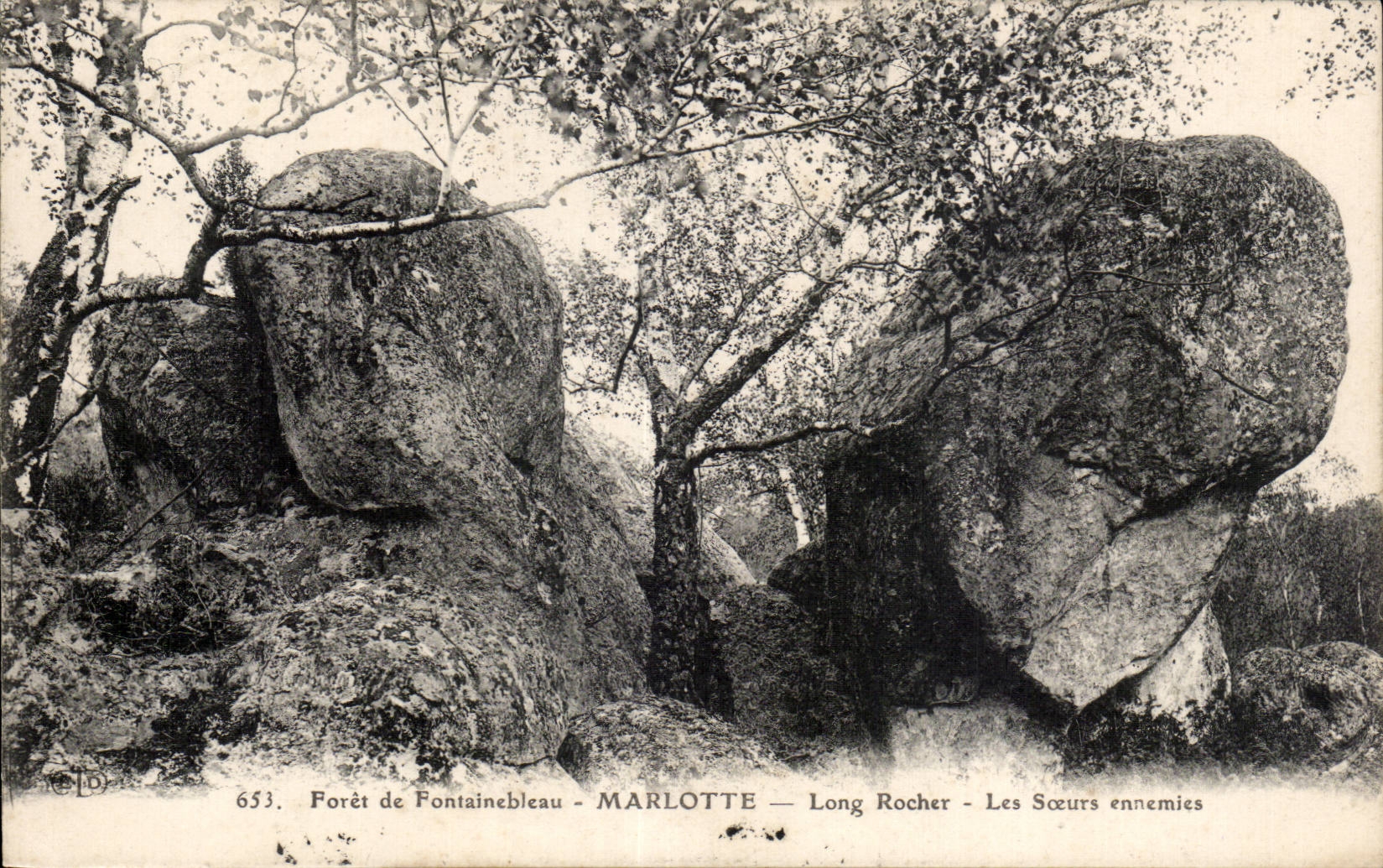 Wald von Fontainebleau — Marlotte — Long Rocher — Die Eifersüchtigen Schwestern — n°653
