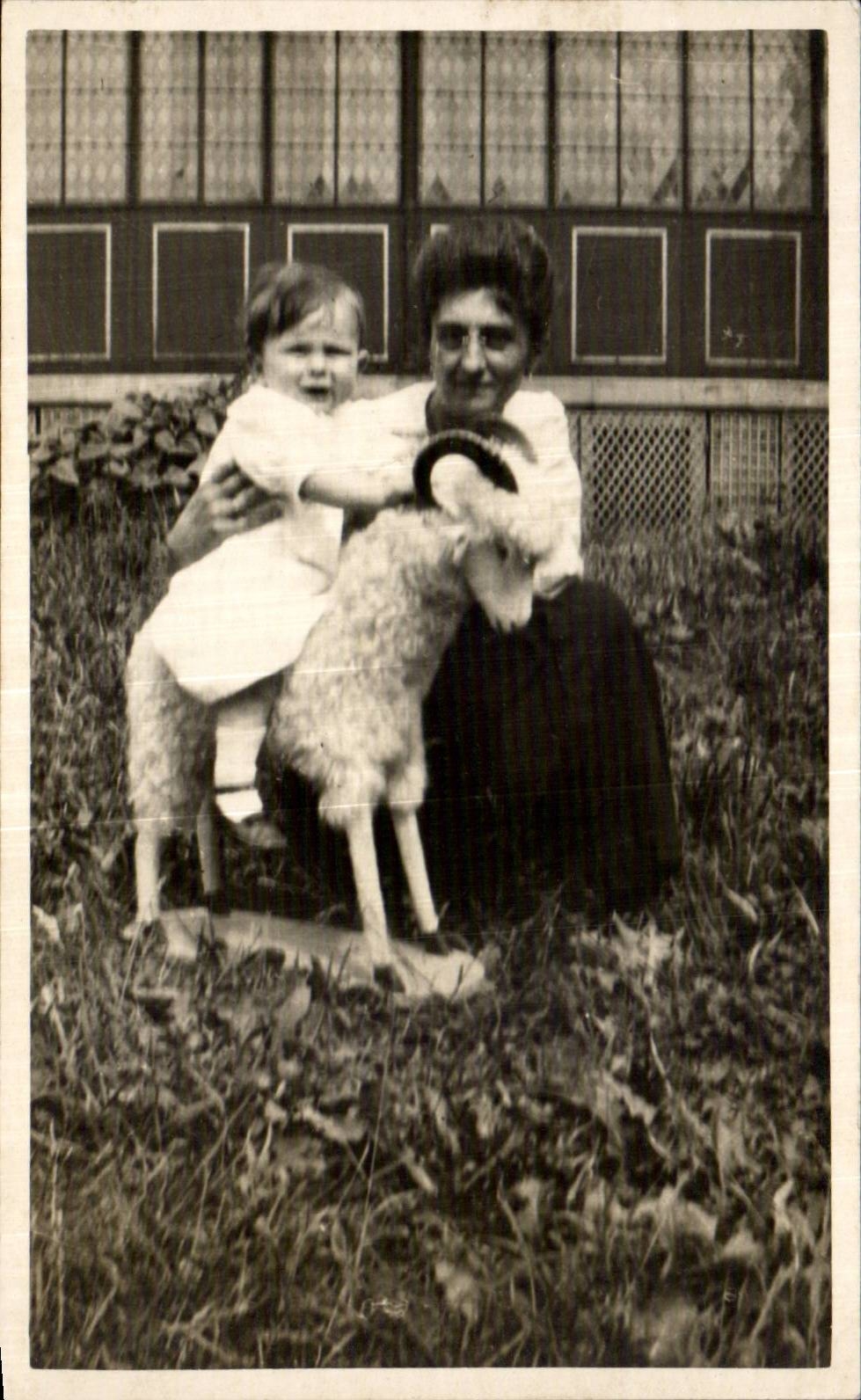 CARTE PHOTO Enfant sur un mouton 