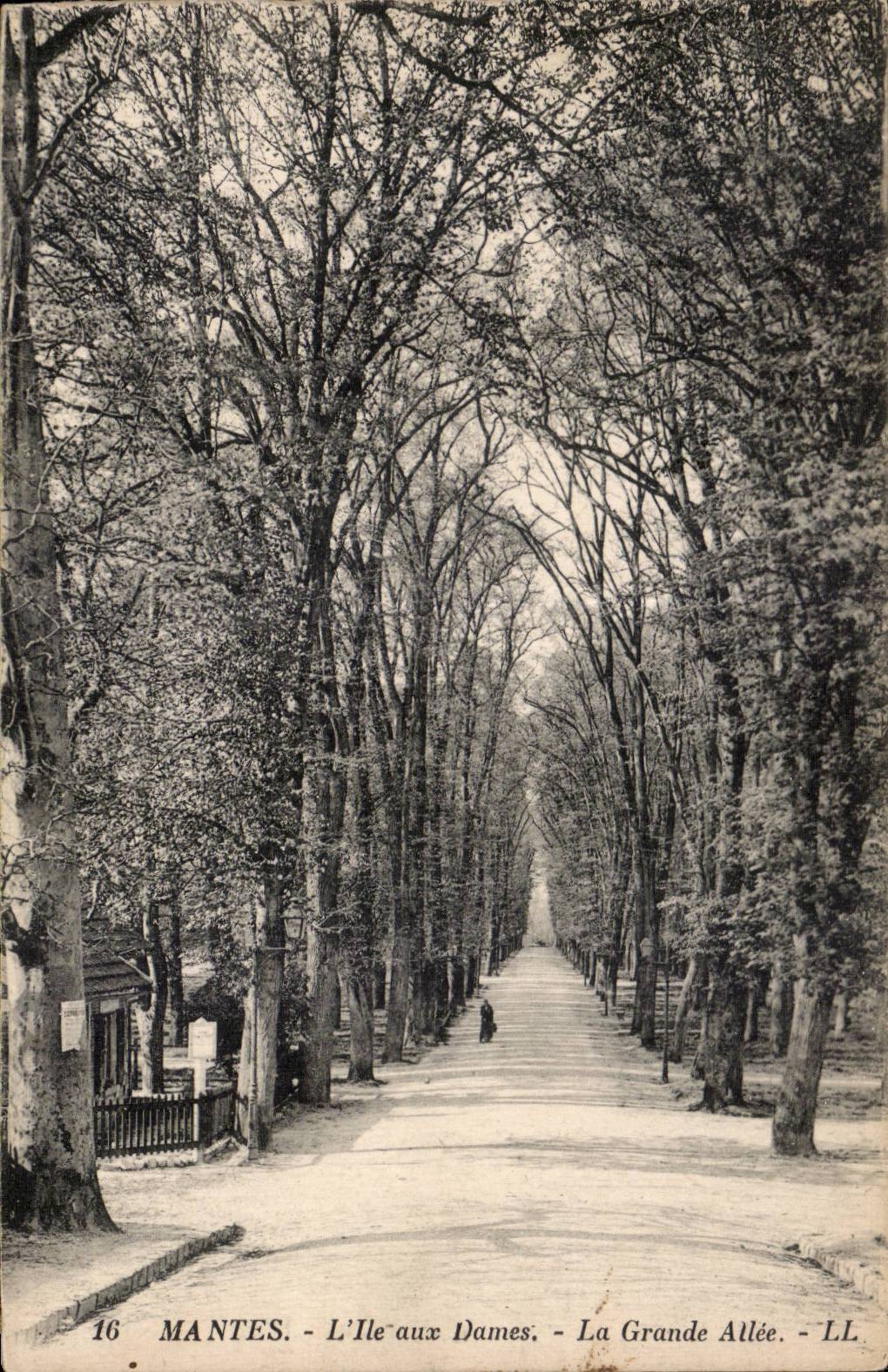 Mantes - L Ile aux Dames - La Grande Allee - CPA 