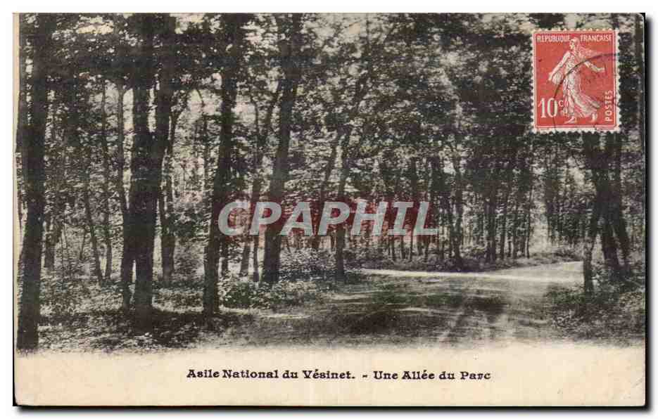 CPA Le Vesinet ASile national Une allee du parc