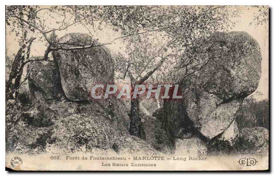 Forêt de Fontainebleau - MARLOTTE - Long Rocher - Les Sœurs Ennemies