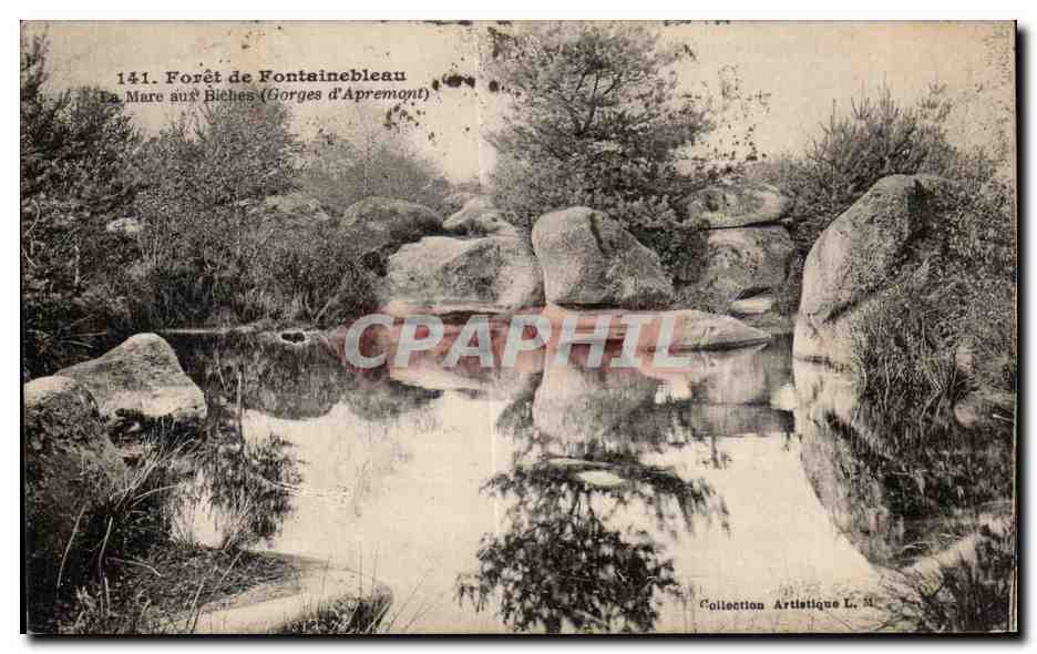 Forêt de Fontainebleau — La Mare aux Biches (Gorges d'Apremont) — Collection Artistique L. M.