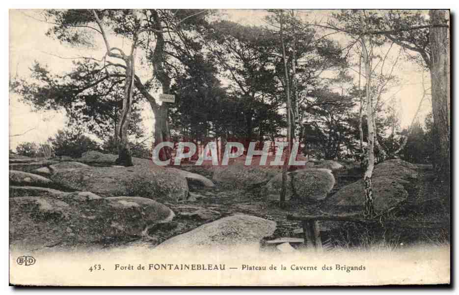 CPA Foret de Fontainebleau Plateau de la caverne des brigands