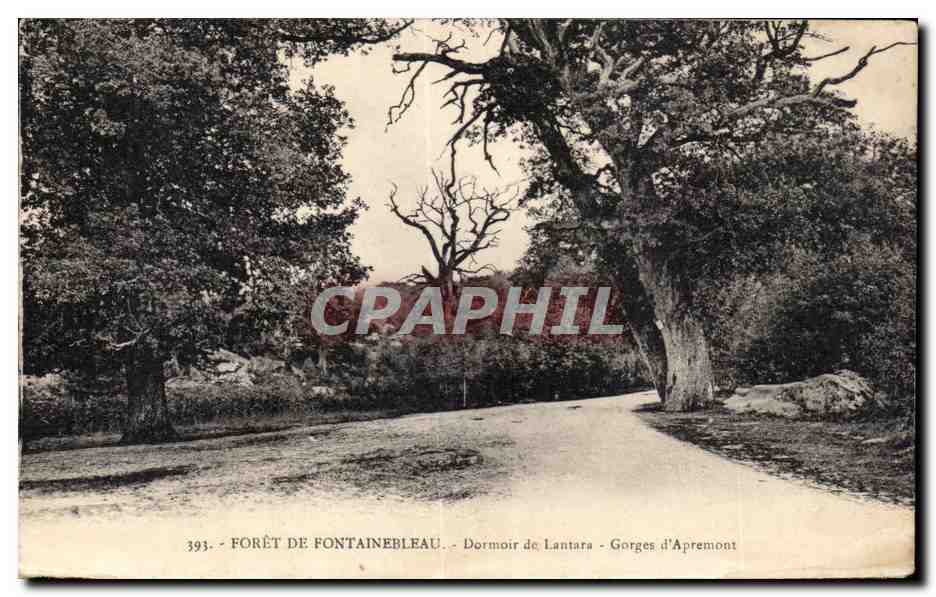 Forêt de Fontainebleau — Dormoir de Lantara — Gorges d'Apremont — n° 393