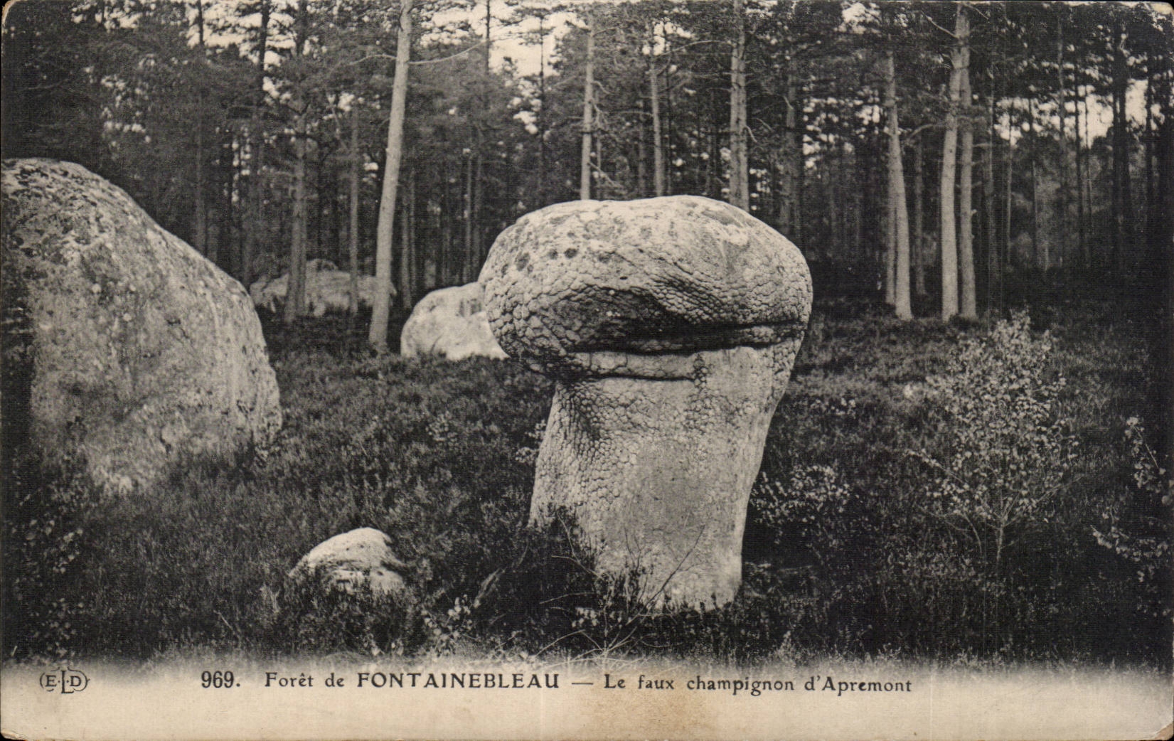 Bosque de FONTAINEBLEAU — El falso hongo de Apremont — Editor ELD, n° 969