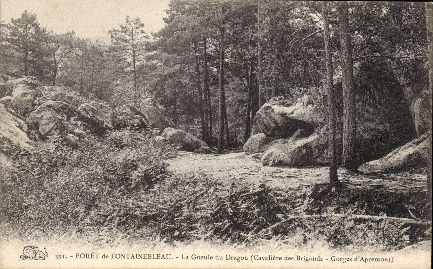 Bosque de Fontainebleau — La Boca del Dragón (Cavalière de los Bandidos – Gorges d’Apremont) — n° 391