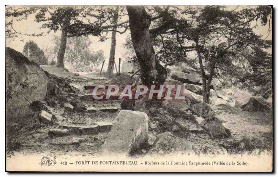 Bosque de Fontainebleau — Rocas de la Fontaine Sanguinée (Valle de la Solle) — n°412